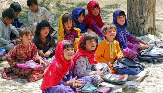 免费ddos压力测试平台